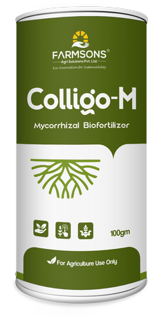 ColligoM new