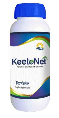 Keetonet