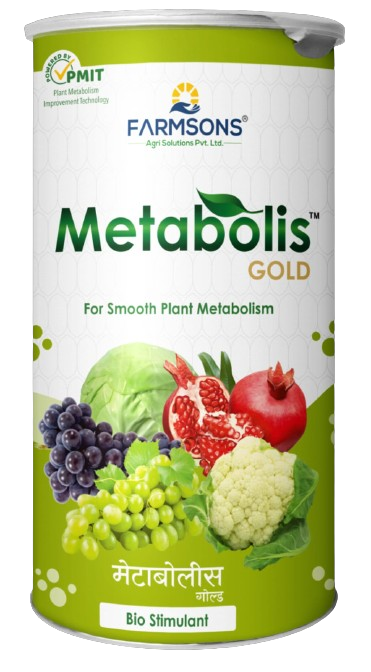 Metabolis-Gold
