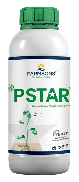 PStar-removebg-preview