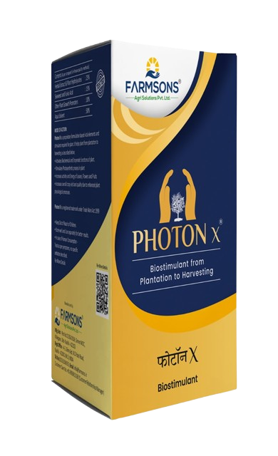 Photon_X-removebg-preview-1-1