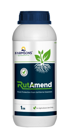 Rutamend