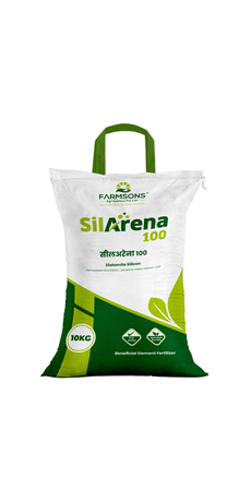 SilArena