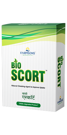 bioscort