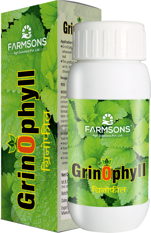 grinophyll