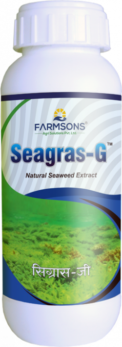 seagrassG-250x708